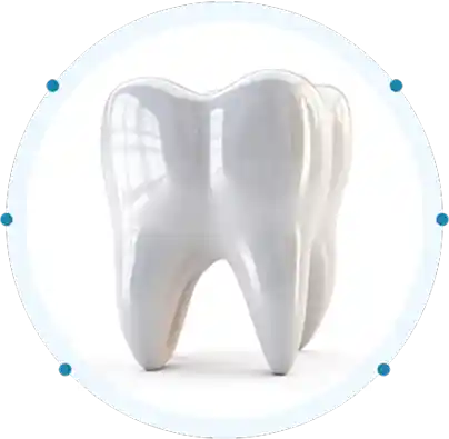 White Tooth